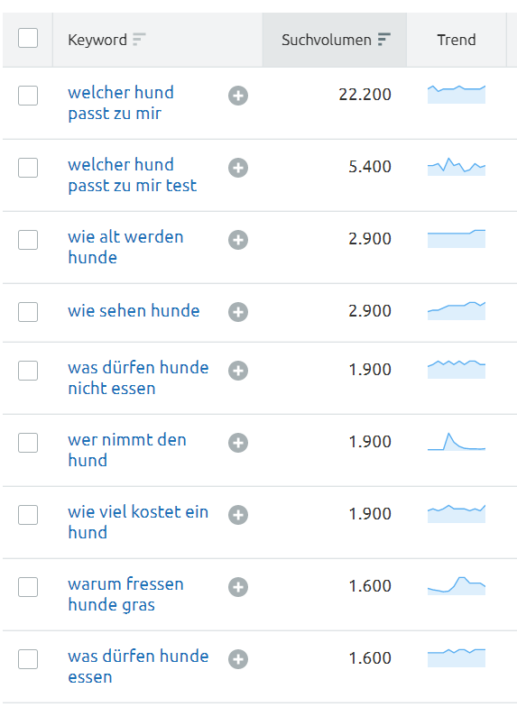 W-Fragen aus dem Keyword Magic Tool