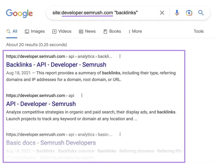 Entwickler-Subdomain-Suche