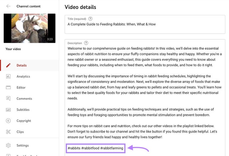 Video-Detailseite in YouTube Studio mit hervorgehobenen Hashtags am Ende der Beschreibung.