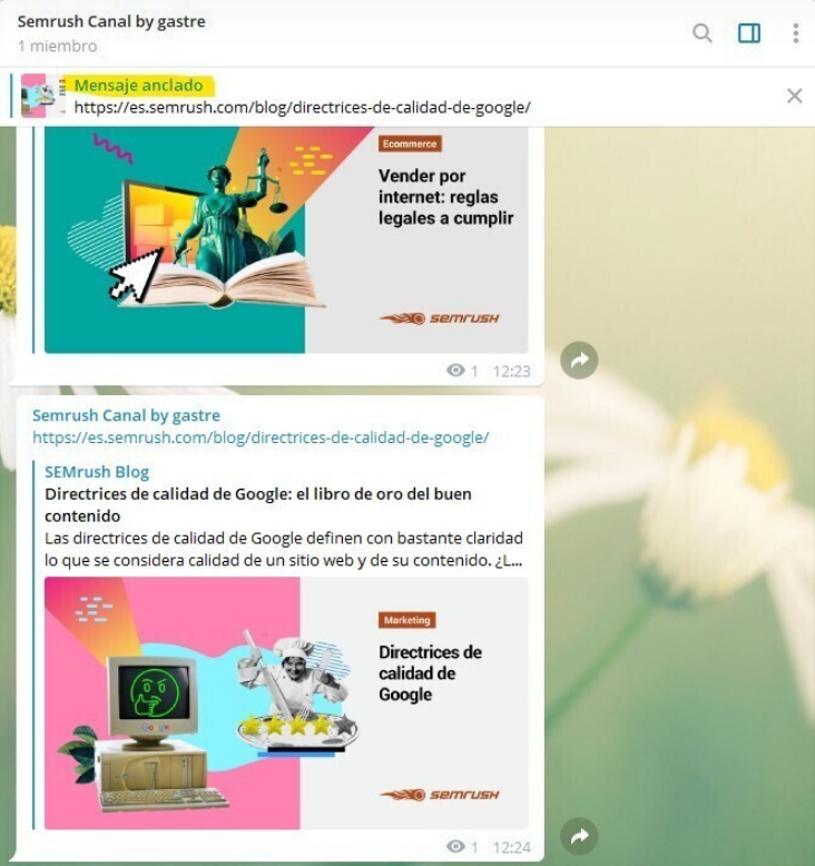 canal telegram semrush