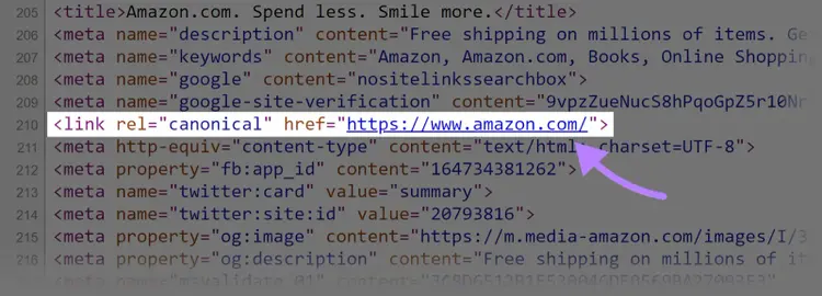 Sección de la etiqueta canónica del código HTML de un sitio web
