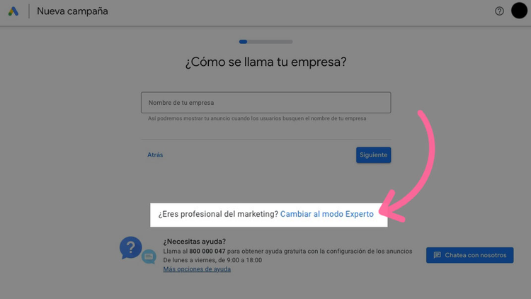 Google Ads new campaign setup asking company name