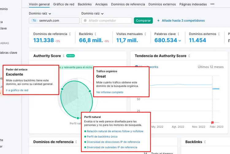 Backlinks analysis showing Authority Score, traffic organic 'Great', natural profile, reference domains