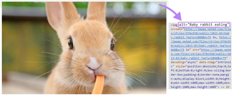 Una imagen de un conejo comiéndose una zanahoria (izquierda) y un texto alternativo mostrado en HTML (derecha)