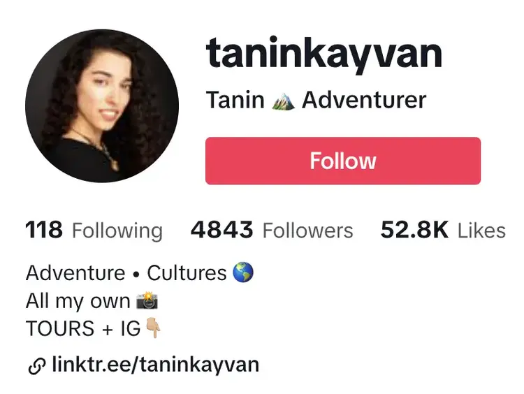 Perfil TikTok de Tanin Kayvan