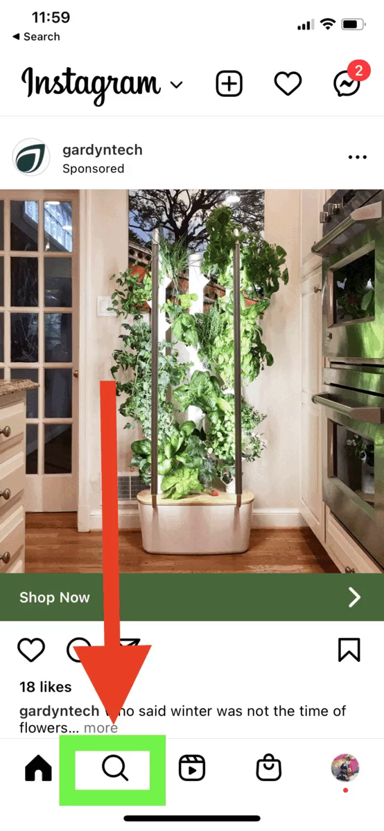 Screenshot Instagram con anuncio de plantas verticales