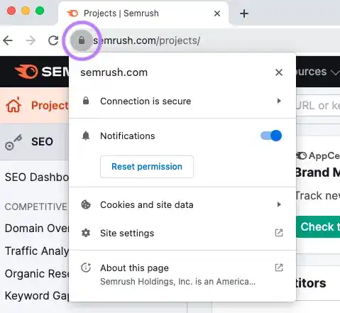 Un icono de candado resaltado junto al sitio "semrush.com/projects/".