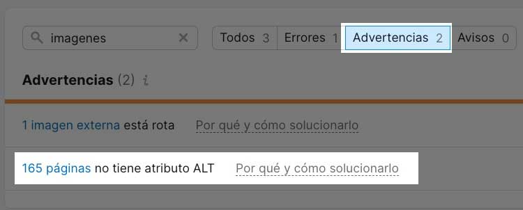Advertencias en Site Audit mostrando 165 páginas sin atributo ALT