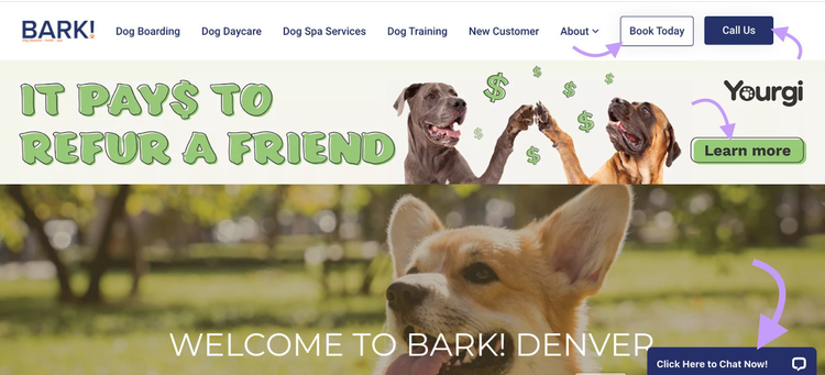 ¡BARK! página de inicio con los CTA "Reserva hoy" "Llámanos" y "Más información" destacados