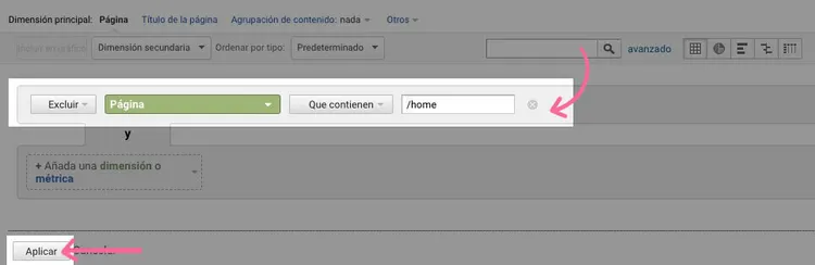Interfaz filtro Analytics UA mostrando opción /home y flecha de configuración