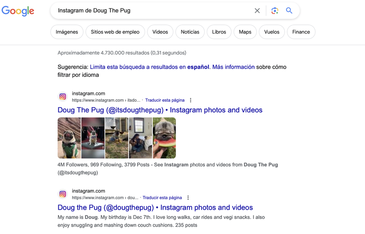 SERP de Doug the Pug