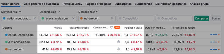 Informe de visión general de Traffic Analytics