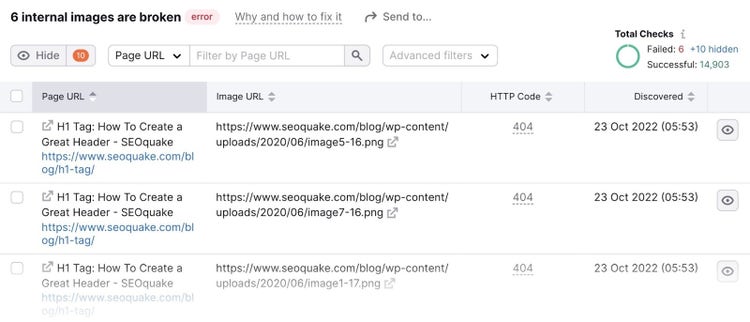 auditoría del sitio urls afectadas