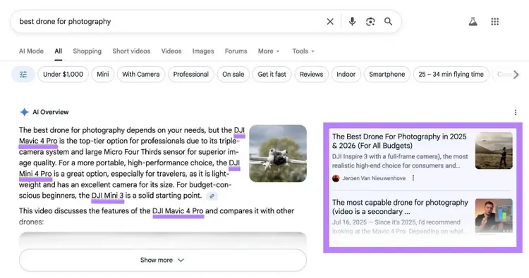 Las diferentes menciones de marcas y fuentes que aparecen a la derecha en la sección inicial de una descripción general de IA están resaltadas.
