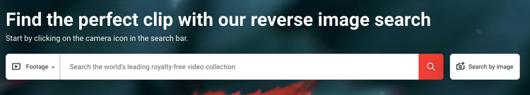 reverse video search