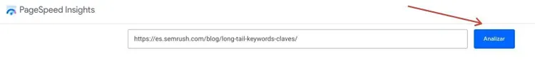 PageSpeed Insights interface with URL input field