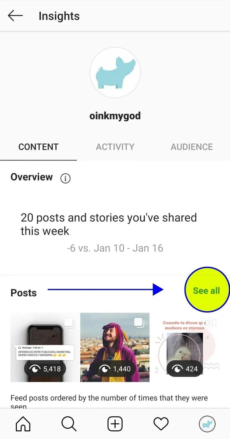 insights instagram móvil