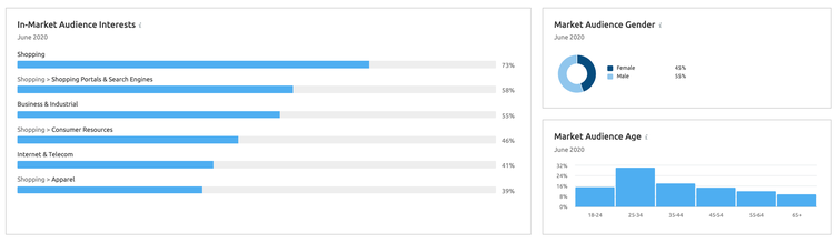 SEMrush Market Explorer: Data on target market's demographics and interests