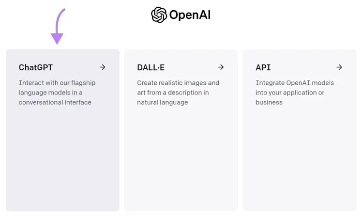 Pantalla de opciones de la plataforma OpenAI