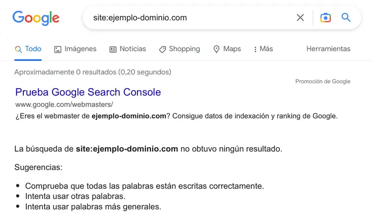 la web no está indexada