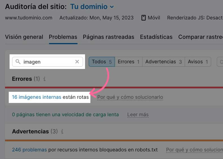 Reporte de imágenes rotas con 16 imágenes internas dañadas destacadas