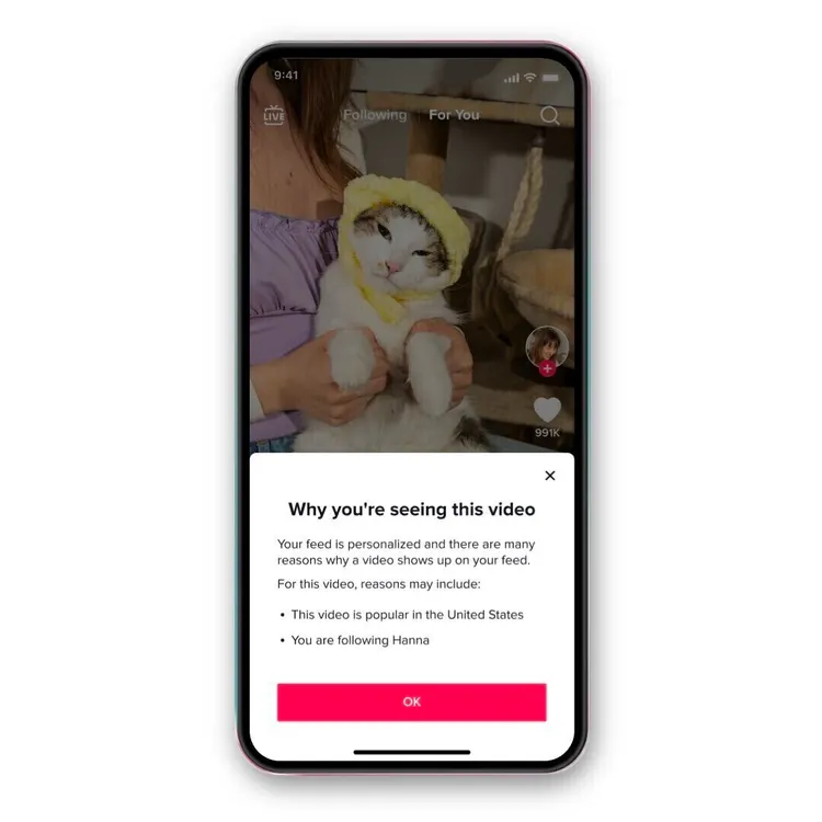 Ventana emergente "Por qué estás viendo este vídeo" en TikTok