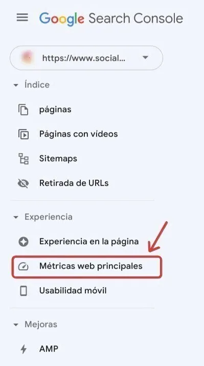 Google Search Console menu showing Core Web Vitals option under Experiencia section