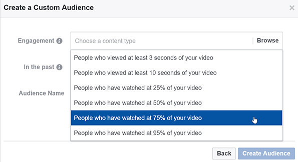 Audiencia personalizada Facebook Meta Ads
