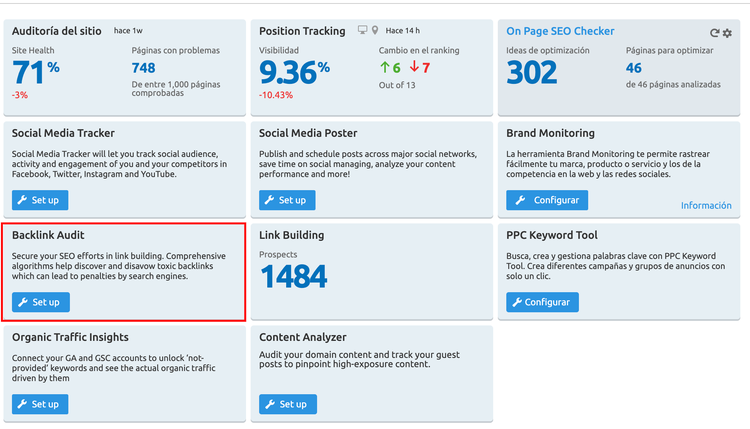 Reporte Backlink Audit con lista de páginas objetivo y dominios