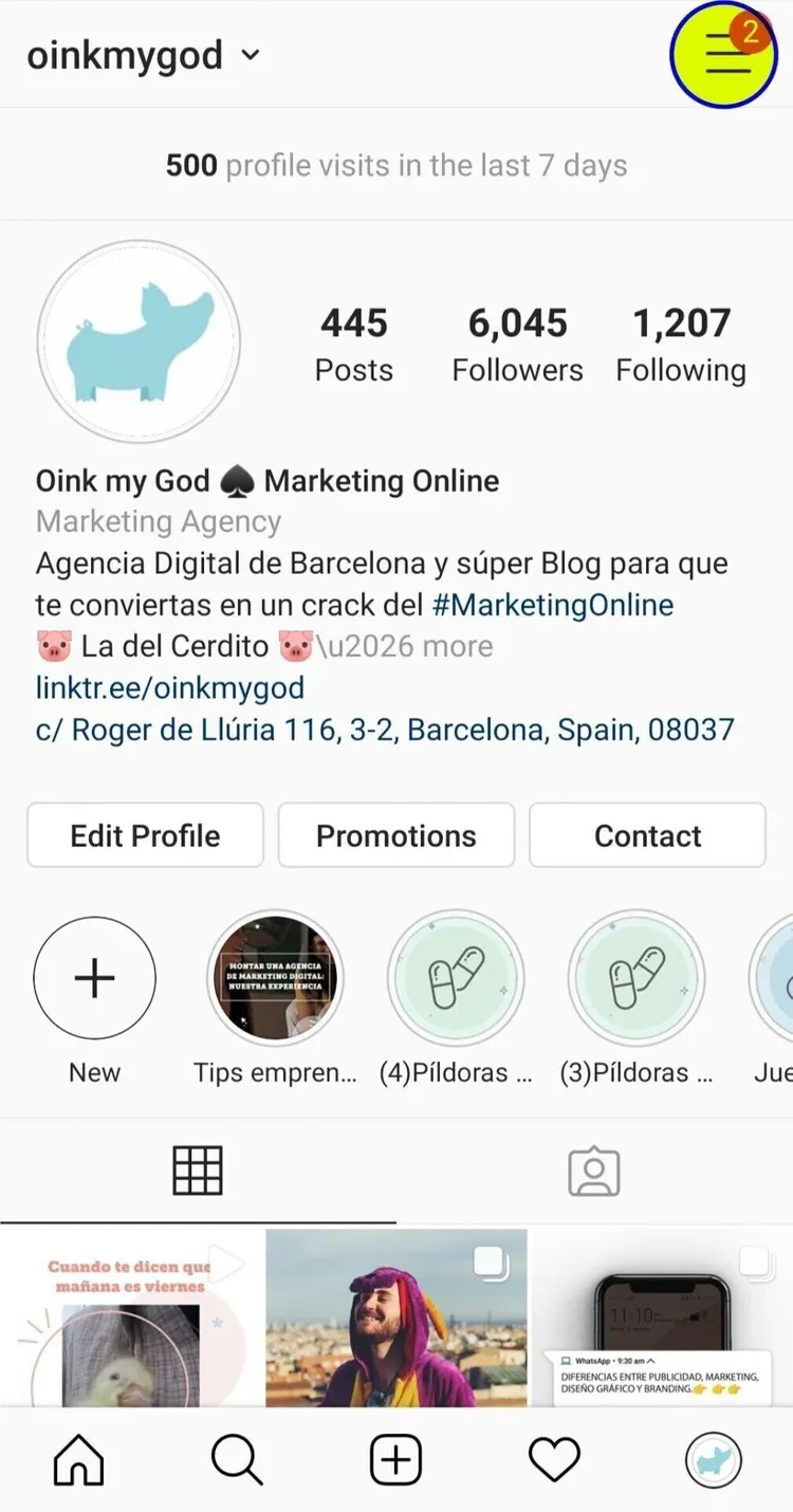 instagram estadísticas