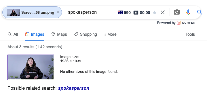 reverse video search