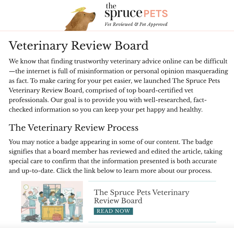 "Página web de "The Spruce Pets