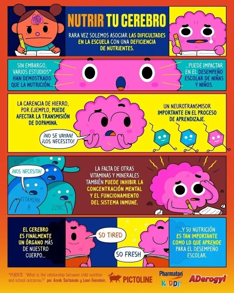 Infografía Pictoline colorida cerebro nutrientes dopamina vitaminas ilustración