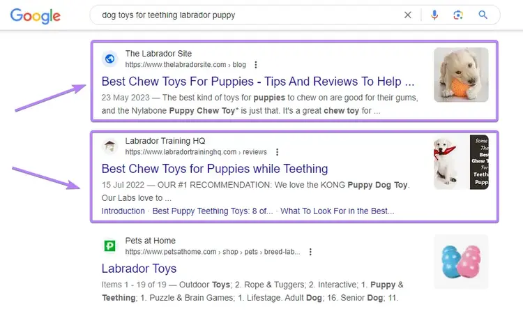 Resultados de la búsqueda en Google de "juguetes para perros para la dentición del cachorro labrador"
