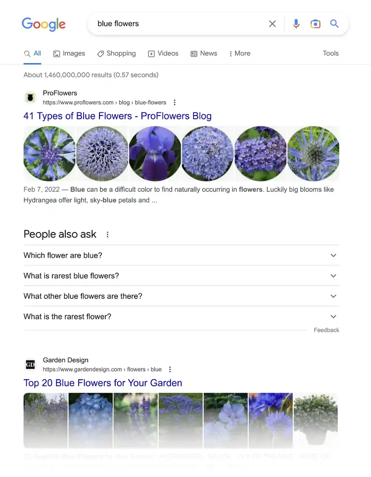 SERP para flores azules muestra imágenes con listados orgánicos y la gente también pregunta característica serp