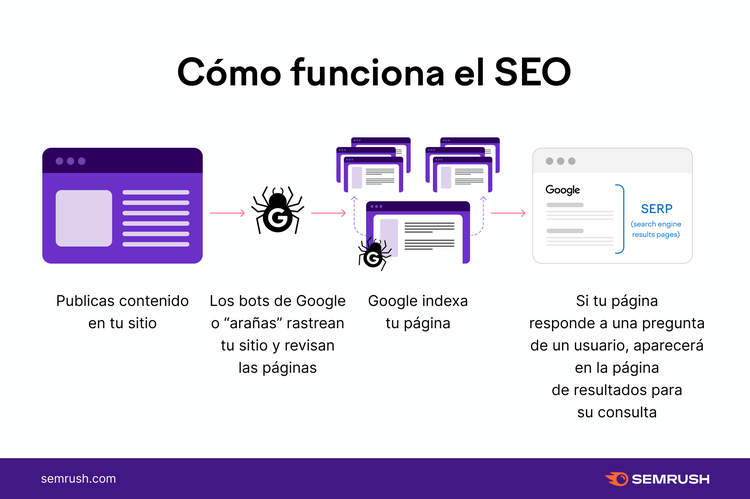 Infografía de Semrush sobre cómo funciona el SEO