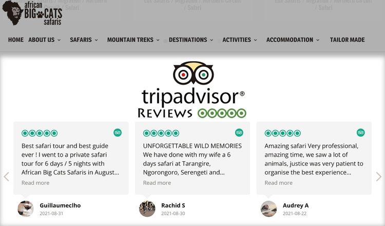 Widget de Tripadvisor en la web de "African Big Cats Safaris