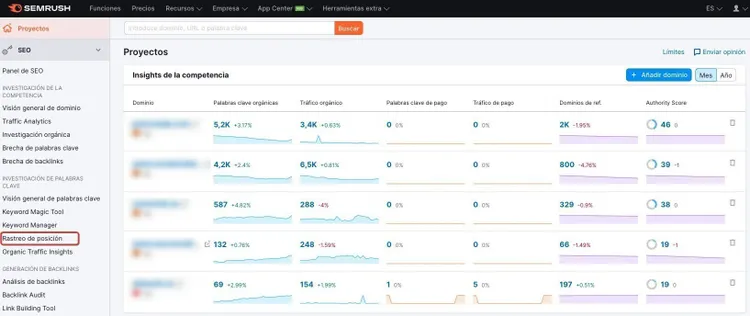 Panel Proyectos Semrush con palabras clave