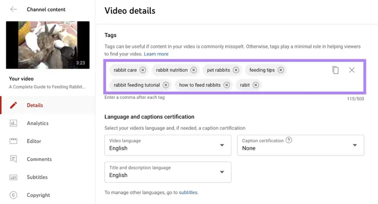 Detalles YouTube vídeo etiquetas idioma certificación leyendas opciones