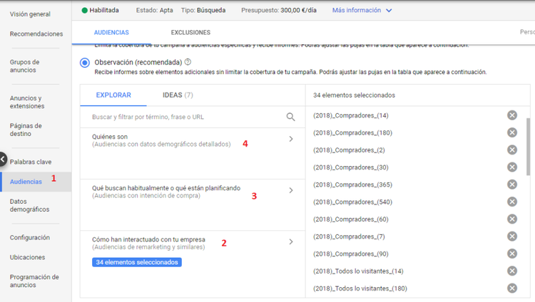 Ejemplo de añadir audiencias a campaña Google Ads