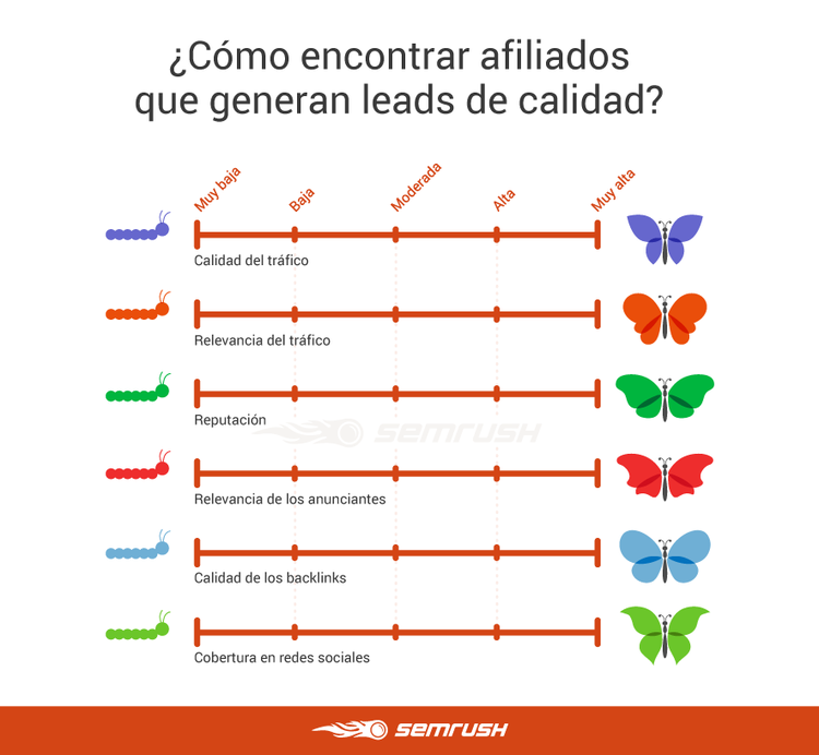 Leads de calidad - Gráfico afiliados