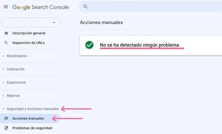 No se ha detectado ningún problema de sitemap