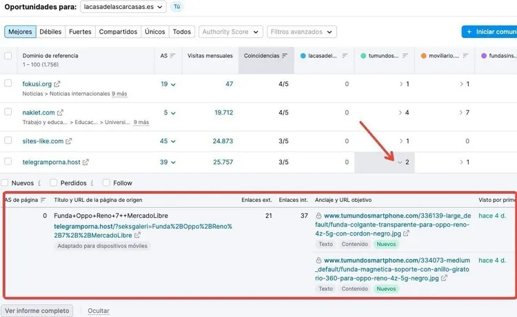 Tabla detallada de oportunidades backlinks con URLs y coincidencias entre sitios