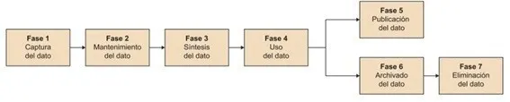 Minería de datos - Ciclo de vida del dato