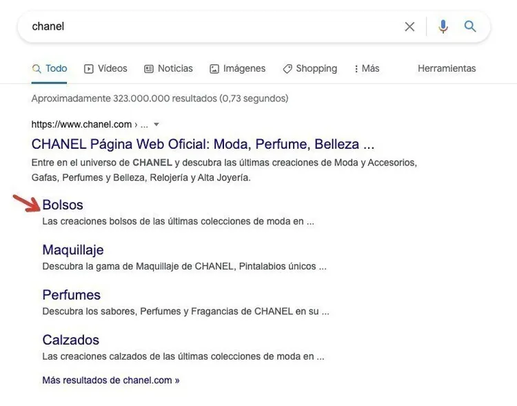 Resultados búsqueda Chanel con enlaces al sitio