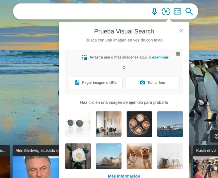Bing Visual Search: diálogo de búsqueda visual por imagen o URL