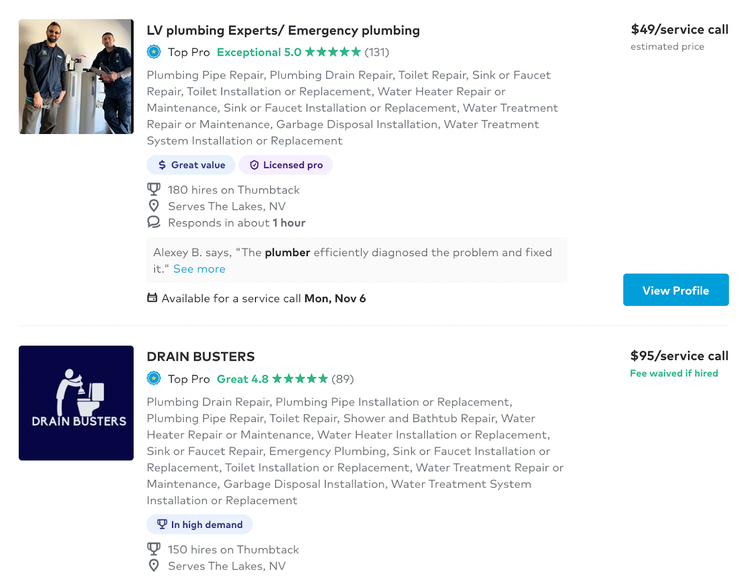 "Expertos en fontanería LV / Fontanería de emergencia" y "DRAIN BUSTERS" listados en un directorio online