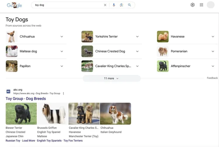Resultados de Google para una búsqueda de "perro de juguete