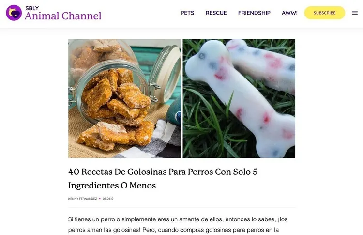 SBLY Animal Channel mostrando 40 recetas golosinas perros con imágenes de treats caseros