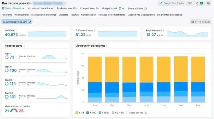 Informe Rastreo de posición con visibilidad y distribución de rankings